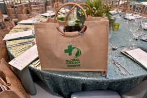 13th Global Green Awards